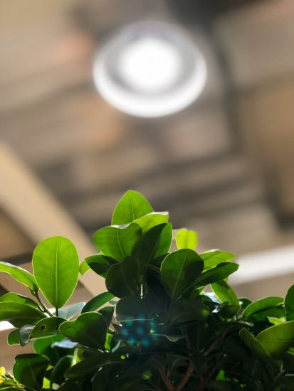LED-Lampe Pflanzenzucht Pflanzenleuchte