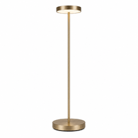 Akku Stehlampen