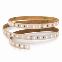 12V LED Streifen