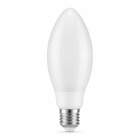 E40 LED Lampen