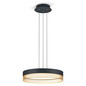Preview: Hell LED Pendelleuchte Mesh dimmbar 44W warmweiss 90Ra B-Link Schwarz Gold Ø45cm 20517/1-06