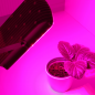 Preview: Bioledex GoLeaf LED Pflanzenlampe 25W - Rot-blaue Grow Pflanzenleuchte