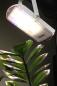 Preview: Bioledex GoLeaf A1T 3-Phasen Schienenleuchte LED Pflanzenlampe 30W 120° S1 - Vegetatives Wachstum, Vollspektrum Grow Pflanzenleuchte