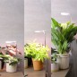 Mobile Preview: Bioledex GoLeaf TOP10 LED Pflanzenleuchte Vollspektrum 10W USB Pflanzenbeleuchtung