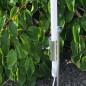 Mobile Preview: Bioledex Metall Erdspieß für vertikale Pflanzenbeleuchtung TIP65-System