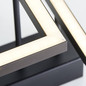 Preview: Brilliant Ranut LED Deckenleuchte, 2-flammig 34W Warmweiß Schwarz Memory Funktion G99493/06
