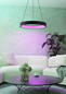 Preview: Eglo LED Pendelleuchte Marghera-Z Smart 4-flammig dimmbar 4x 6,5W RGB CCT warm-/tageslichtweiss 2700-6500K Zigbee Schwarz Stahl Ø60cm 900068