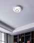 Preview: Eglo LED Deckenleuchte Palagiano 14,7W neutralweiss 4000K Weiss Satiniert Stahl Ø30cm 900863