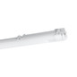 Preview: Eglo LED Feuchtraumleuchte Basic 2-flammig G13 2x 15W neutralweiss 4000K IP65 Grau Transparent 126x10cm 901542