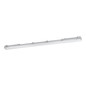 Preview: Eglo LED Feuchtraumleuchte Basic Plus 2-flammig G13 2x 15W neutralweiss 4000K IP65 Grau Transparent 126x10cm 901547