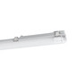 Preview: Eglo LED Feuchtraumleuchte Basic Plus 2-flammig G13 2x 15W neutralweiss 4000K IP65 Grau Transparent 126x10cm 901547
