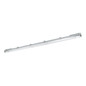 Preview: Eglo LED Feuchtraumleuchte Basic Plus G13 23W neutralweiss 4000K IP65 Grau Transparent 156x7cm 901548
