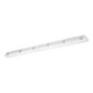 Preview: Eglo LED Feuchtraumleuchte Prime 33W neutralweiss 4000K IP65 Grau 119x8,5cm 901562