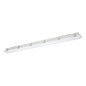 Preview: Eglo LED Feuchtraumleuchte Prime 43W neutralweiss 4000K IP65 Grau 149x8,5cm 901563