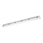 Preview: Eglo LED Feuchtraumleuchte Ammoniak 44W CCT warm-/neutral-/tageslichtweiss 3000/4000/6500K IPX9K Grau 149x8,5cm 901565
