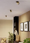 Preview: Eglo LED Spot Mengibar Tube dimmbar 4,8W CCT warm-/neutral-/tageslichtweiss 2700/4000/6500K Gold Schwarz Ø9cm 902722