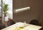 Preview: Eglo LED Hängeleuchte Filana 12W 850Lm chrom