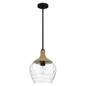 Preview: Elstead Royer Pendelleuchte E27 Mattschwarz mit Naturseil und Schirm aus mungeblasenem Glas Stahl, Glas klar