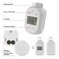 Preview: Emos Heizkörperthermostat GoSmart ZigBee 5-30°C mit Frostschutz P5631S