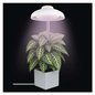 Preview: Emos LED Pflanzenleuchte 5W neutralweiss 3500K Weiß 11x11cm Z7901
