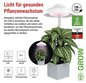 Preview: Emos LED Pflanzenleuchte 5W neutralweiss 3500K Weiß 11x11cm Z7901