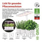 Preview: Emos LED Pflanzenleuchte 7W warmweiss 3200K dimmbar Weiß 32x13cm Z7904