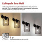 Preview: Emos LED Gartenstrahler Salvia IP44 Schwarz Stahl 21x16cm ZGD010P