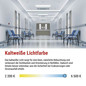 Preview: Emos LED Notleuchte Nessi 4W tageslichtweiss 6500K Akku IP66 Weiß 25x12cm ZN2130