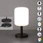 Preview: FHL Volterra Pro LED Tischleuchte 2W dimmbar Akku CCT einstellbare Lichtfarbe sandanthrazit 850383