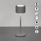 Preview: FHL Juna LED Tischleuchte 1,5W dimmbar Akku CCT einstellbare Lichtfarbe sandgrau 850731