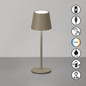 Preview: FHL Roxi LED Tischleuchte 1,5W dimmbar Akku CCT einstellbare Lichtfarbe dark-greige 850766