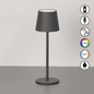 Preview: FHL Bisco LED Tischleuchte 2W dimmbar Akku CCT einstellbare Lichtfarbe sandgrau 850809