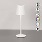 Preview: FHL Bisco LED Tischleuchte 2W dimmbar Akku CCT einstellbare Lichtfarbe sandweiß 850810