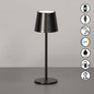 Preview: FHL Roxi LED Tischleuchte 1,5W dimmbar Akku CCT einstellbare Lichtfarbe Dunkelsilber 850877