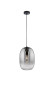 Preview: Fischer & Honsel Trace Pendelleuchte E27 Glas rauchfarben schwarz 60713