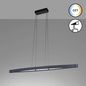 Preview: Fischer & Honsel Fenga LED Pendelleuchte 27,3W Tunable white steuerbar dimmbar Acryl sandschwarz 61068