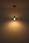 Preview: Globo LED Pendelleuchte Grant 8W warmweiss Grau matt rauchfarben Aluminium Gebürstet Glas Ø22cm