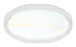 Preview: Globo Tyrone LED Deckenleuchte 24W CCT Weiß, Metall Memoryfunktion Ø38,5cm 41779-24