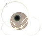 Preview: Globo LED Deckenleuchte Deon 80W CCT warm-/neutral-/tageslichtweiss Weiß matt Metall Champagner 108x95cm