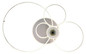 Preview: Globo LED Deckenleuchte Beltran 36W dimmbar Fernbedienung CCT warm-/tageslichtweiss Silberfarben matt gebürstet Metall Aluminium 103,5x65cm