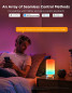 Preview: Govee Tischlampe, Smarte Tischleuchte RGBICWW 500Lm H60223D1
