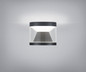 Preview: Helestra PORO LED Deckenleuchte 10W dimmbar 90Ra warmweiss Mattschwarz Aluminium klar