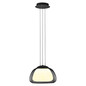 Preview: Hell LED Pendelleuchte Luxxo dimmbar 19W Dim to Warm extrawarm- bis warmweiss 90Ra B-Link Schwarz Rauchglas Ø39cm 20658/1-06