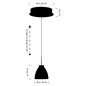 Preview: Hell LED Pendelleuchte Henry dimmbar 6W warmweiss 90Ra B-Link Anthrazit matt Ø20cm 20720/1-39