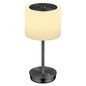 Preview: Hell LED Tischleuchte Abby dimmbar 6W warmweiss 90Ra Anthrazit matt Opalglas 34cm 50450/1-39