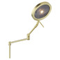 Preview: Hell LED Tischleuchte Stance dimmbar 12W CCT steuerbare Lichtfarbe 3-stufig extrawarm- bis neutralweiss 90Ra Messing matt 65cm 50477/1-01
