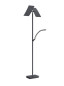Preview: Hell Andy LED Stehleuchte Dimmbar 185cm CCT Anthrazit 60556/2-39