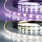 Preview: ISOLED LED SIL RGB+KW Flexband Streifen, 24V, 19W, IP20, 4in1 Chip, 60 LED/m