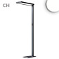 Preview: ISOLED LED Office Pro Stehleuchte Up/Down, 80W/20W, schwarz, UGR<19, neutralweiß, Touch-Dimm, CH-Stecker