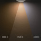 Preview: Isoled 3-PH Linearleuchte prismatisch, 60cm, 32W, weiß, 3000/3500/4000K, CRI90, dimmbar 116807